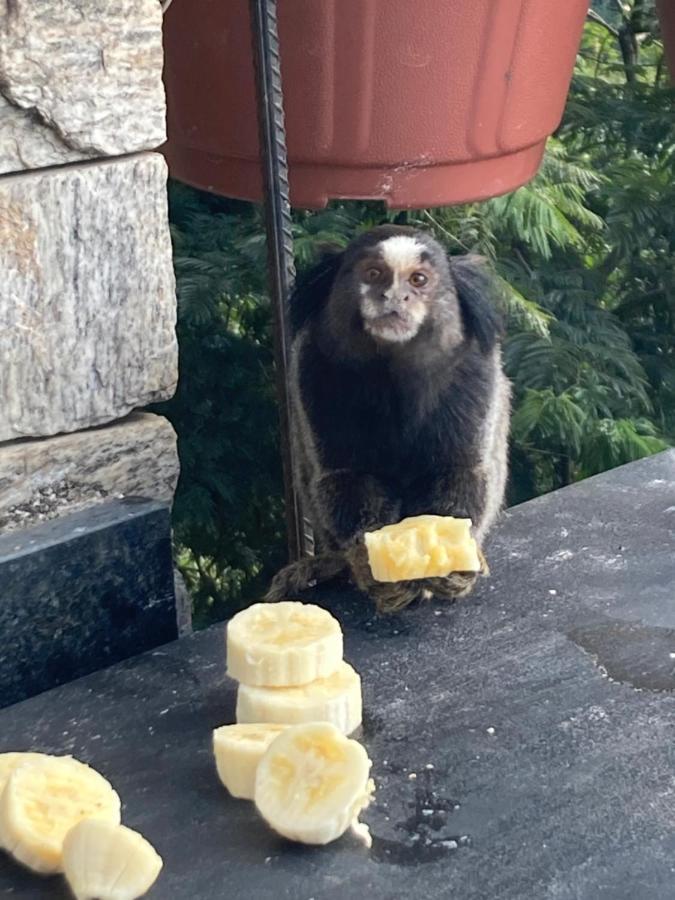O Chale Mais Bucolico De Araras. Vista Linda Luaran gambar